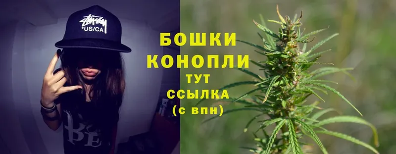 дарнет шоп  Буйнакск  Бошки Шишки SATIVA & INDICA 